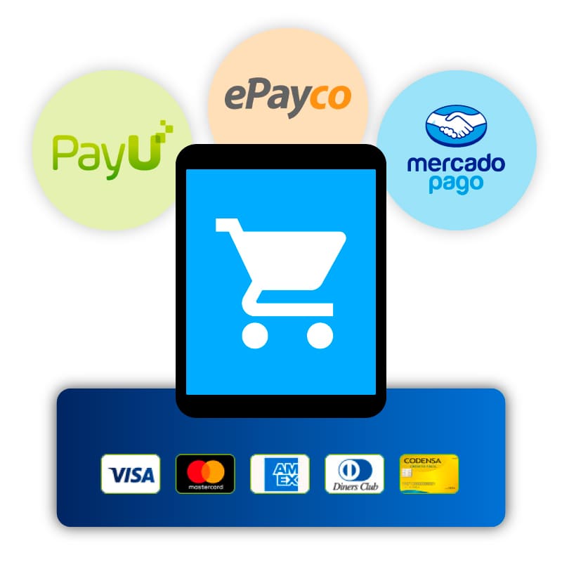 ¿Interesado en recibir pagos por medio de tu sitio web?