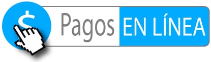Pagos en línea